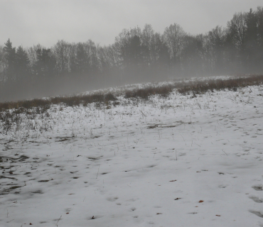 2012, 17. prosince: Po sněhové nadílce přišel déšť