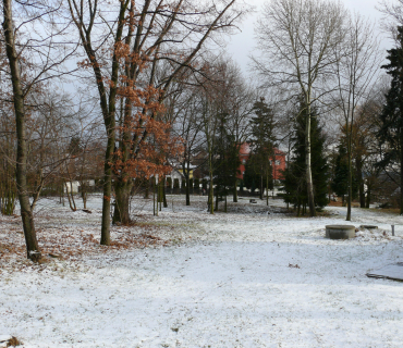 2011, 30. prosince: Konečně sníh