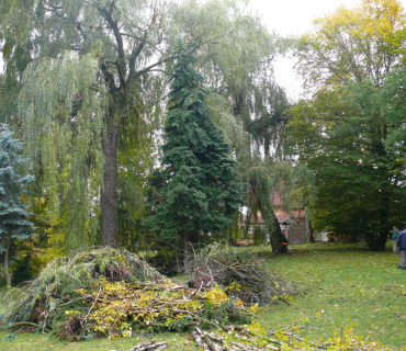 2011, 1. listopadu: Kácení stromů v parku