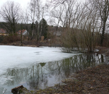 2011, 24. ledna: Oprava rybníka