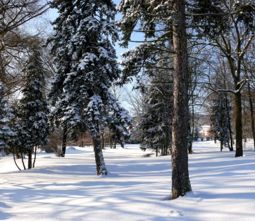 2010, 17. prosince: Zima byla nebývale tuhá