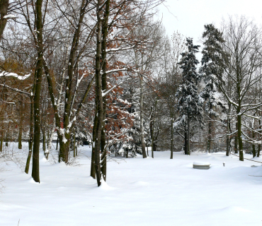 2010, 2. prosince: Mráz se sněhem přišel velmi brzo