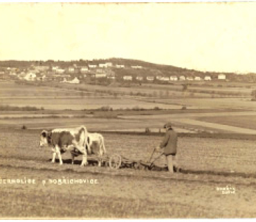 Černolice - pohled přes polnosti od Řitky