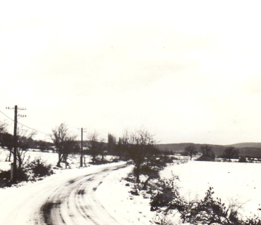 Zima 1981