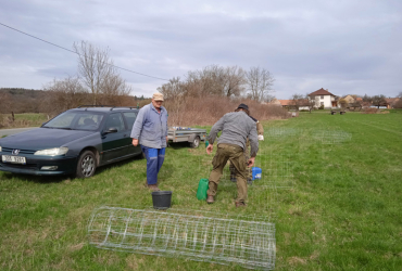 Dubová alej byla vysazena